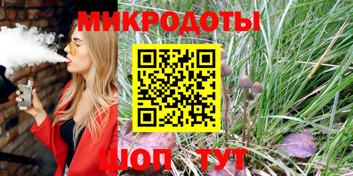 Звенигород  Псилоцибиновые грибы мицелий  Вход с VPN 